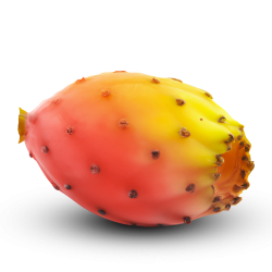 sulfarina